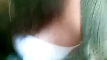 گربه خانگی سوپر سکسی کم حجم